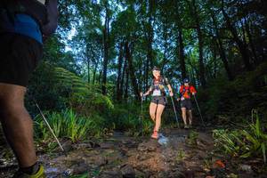 BIB: 
                            <button type="button" onclick="openModal(19241473)" class="btn btn-primary btn-sm float-right btn-popup" data-toggle="modal" data-target=".modal-high-quality">
                        <i class="fas fa-shopping-cart"></i> Add to Cart
                    </button>
                                            <button type="button" onclick="isThisMe(19241473, true)" class="btn btn-success btn-sm float-right btn-popup btn-isme hidden" data-toggle="tooltip" data-placement="bottom" title="นี่คือรูปของคุณใช่ไหม คลิกที่นี่เพื่อเอาเข้าอัลบั้ม">
                        <i class="fas fa-plus"></i> Add to album
                    </button>
                    <button type="button" onclick="isThisMe(19241473, false)" class="btn btn-warning btn-sm float-right btn-popup btn-isnotme hidden">
                        <i class="fas fa-ban"></i> Remove from album
                    </button>